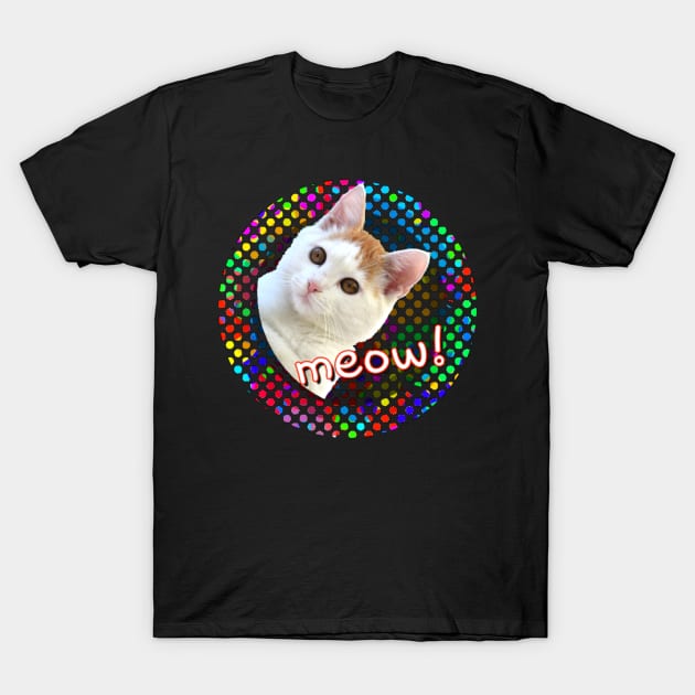 Disco Cat T-Shirt by AlondraHanley